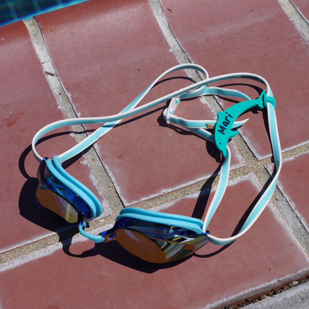 dolphin goggles Dolphin Goggle Tag – Swim Loops