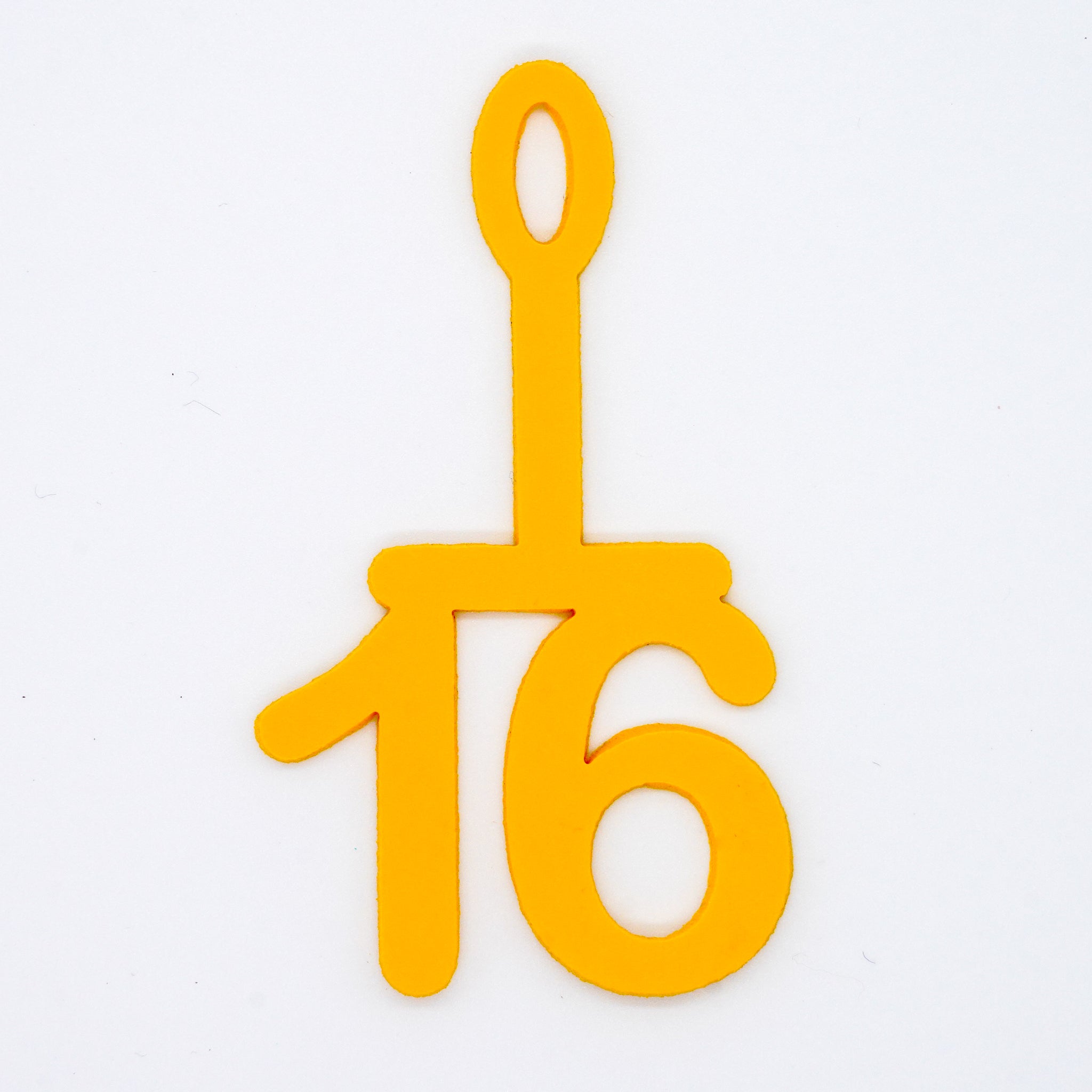 Cap Number Goggle Tags