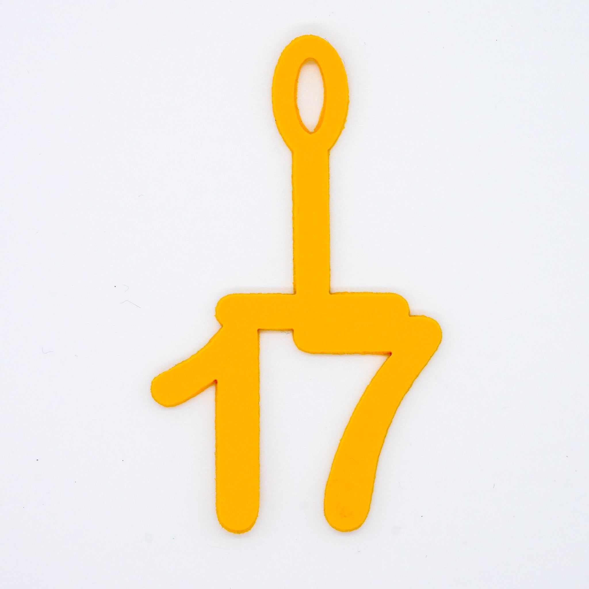 Cap Number Goggle Tags